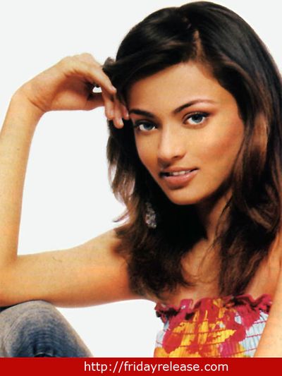 Sneha Ullal Photo