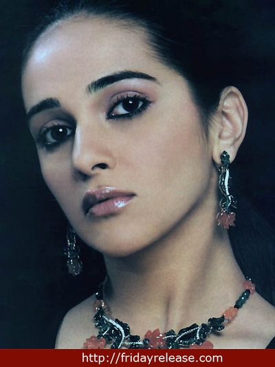 Tara Sharma Photo