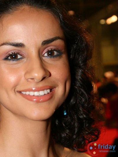 Gul Panag Photo