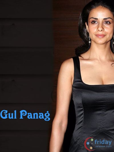 Gul Panag Photo