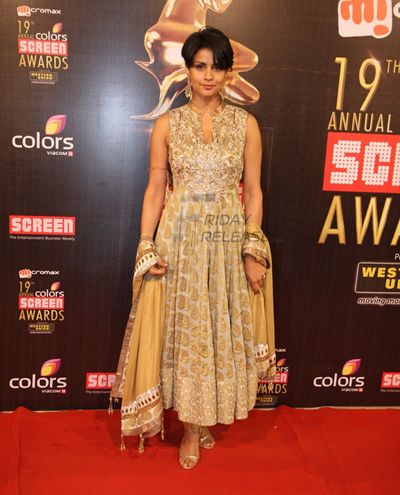 Gul Panag Photo