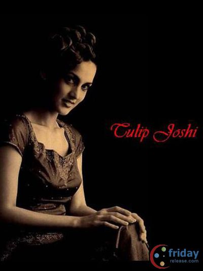 Tulip Joshi Photo