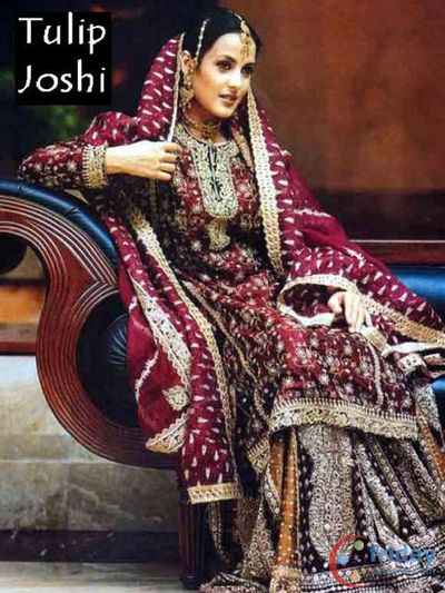 Tulip Joshi Photo