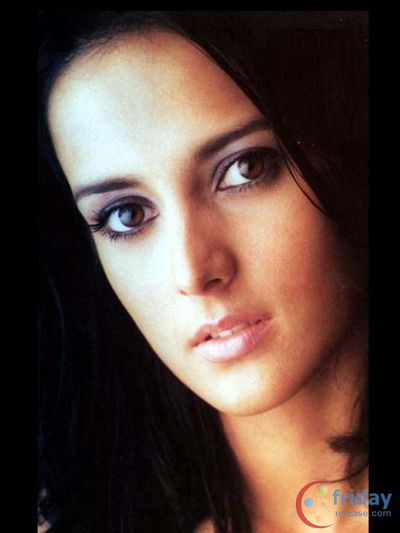 Tulip Joshi Photo