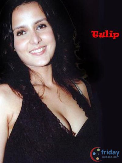 Tulip Joshi Photo