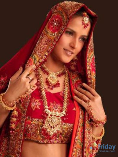 Tulip Joshi Photo
