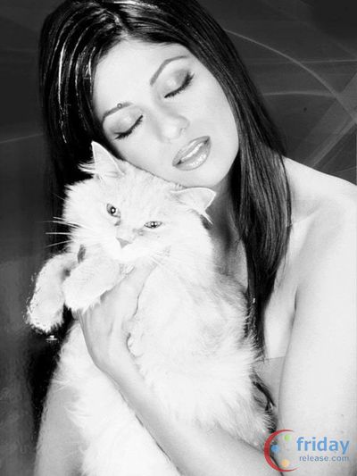 Shamita Shetty Photo