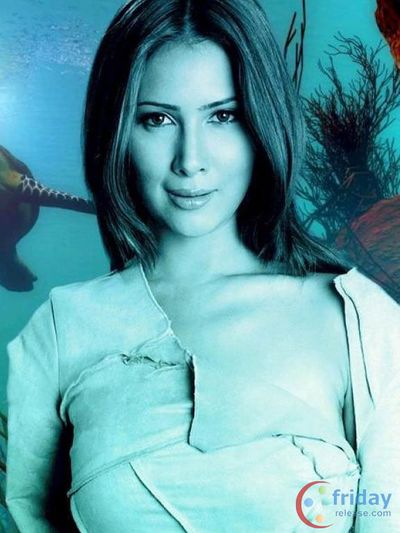 Kim Sharma Photo