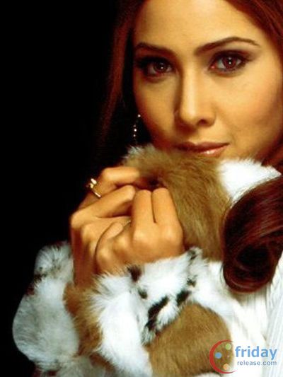 Kim Sharma Photo