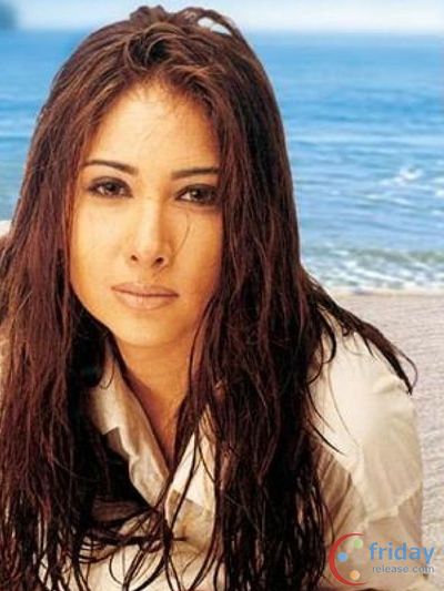 Kim Sharma Photo
