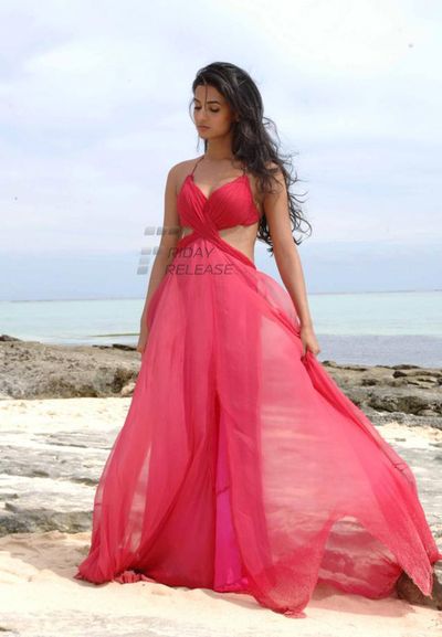 Sonal Chauhan Photo