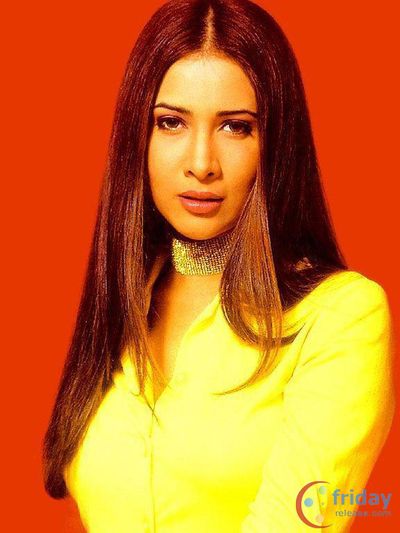 Kim Sharma Photo