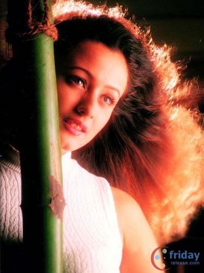 Namrata Shirodkar Photo