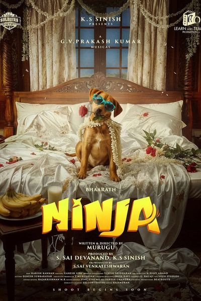 Ninja