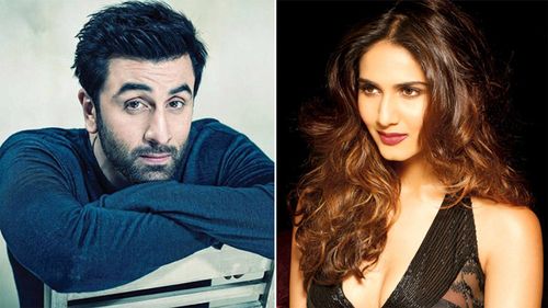 Yash Raj Films' next to star Vaani and Ranbir Kapoor?