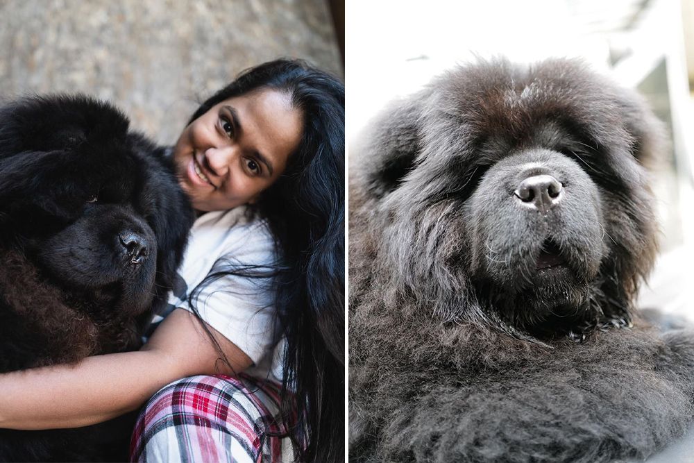 Salman Khan's Sister Arpita Mourns The Passing Away Of Their Two Months Old Family Dog, Hagrid (View Post)
