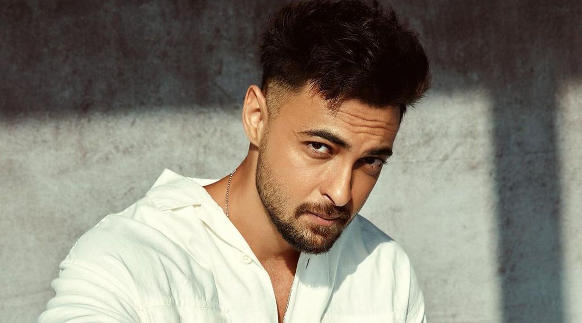 Aayush Sharma Reflects On 5 Years In Bollywood, Opens Up About His Journey And Ambitious Expectations!