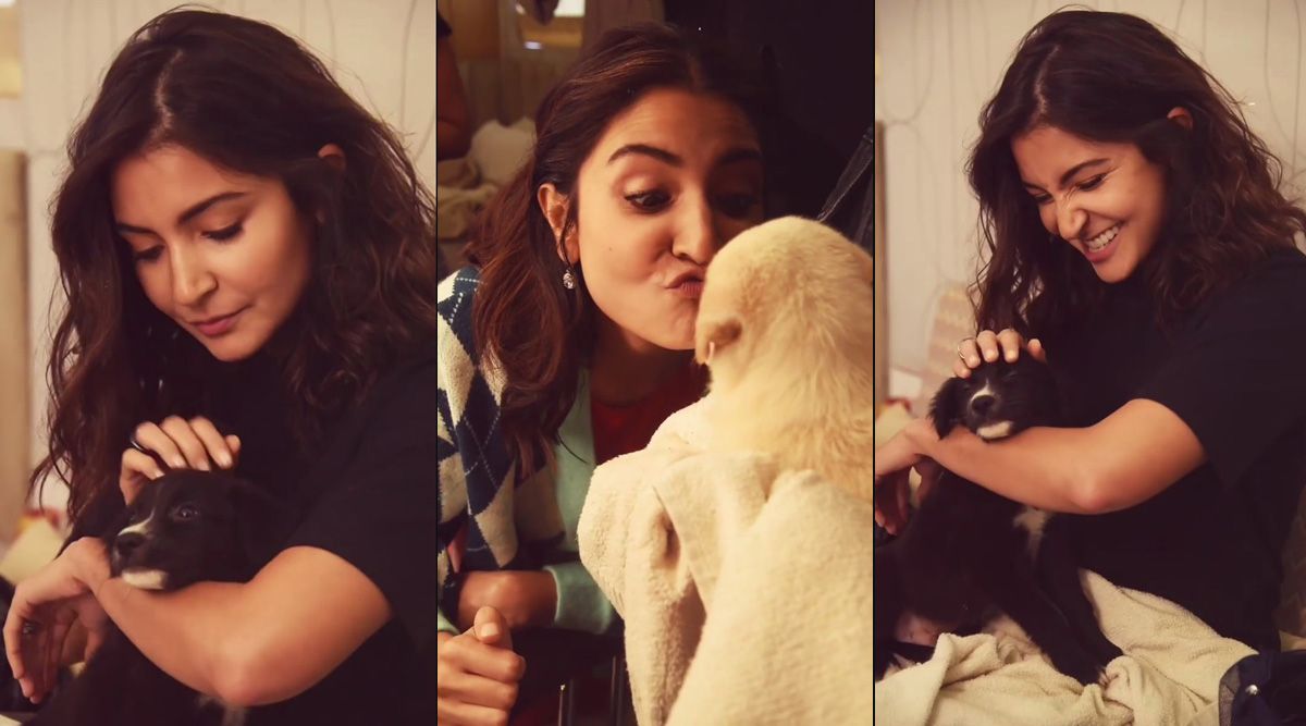 Anushka Sharma enjoys the company of her furry friends; shares an adorable reel that is too cute to miss