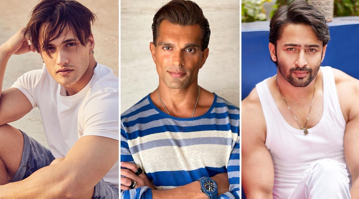 Ghum Hai Kisikey Pyaar Meiin: Big News! Asim Riaz, Karan Singh Grover, And Shaheer Sheikh Approached By Makers For The Title Role