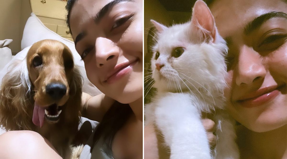 Check out Rashmika Mandanna’s cute pictures with her pets Aura and Snow!