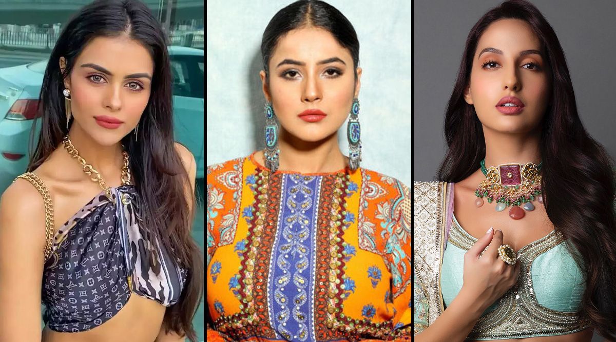 Bigg Boss contestants who bagged Bollywood FILMS post the show including Priyanka Choudhary, Shehnaaz Gill, Nora Fatehi & more!