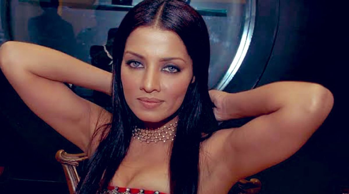 Celina Jaitly SLAMS A Twitter User For Claiming That The Actress Had Sex With A Father And Son Team From Bollywood (Details Inside)
