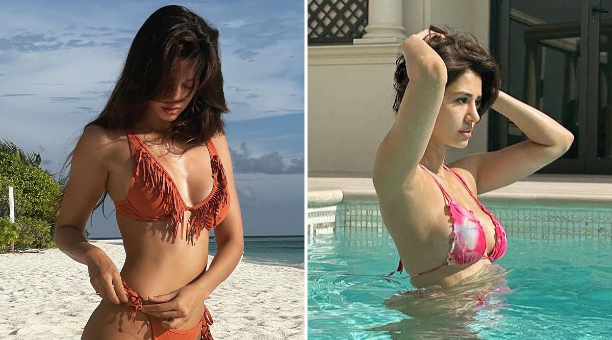 Disha Patani sizzles in a brown bikini; look at her sexy pictures!