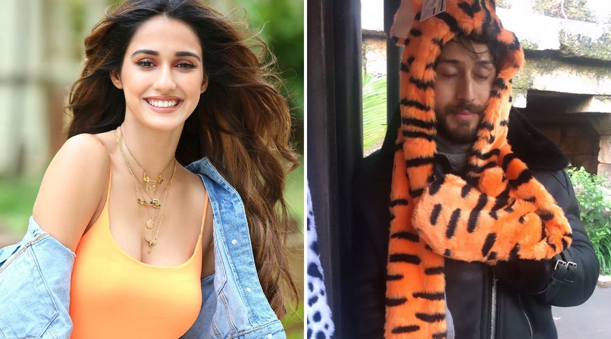 Tiger Shroff Birthday Special: Disha Patani’s Special Wish for Rumoured Ex-Boyfriend Is the Cutest Thing on the Internet Today (View Pic)