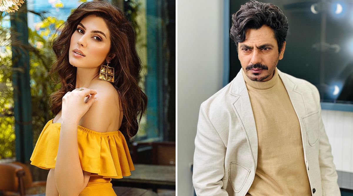 Sangeen: Elnaaz Norouzi Excited To Share Screen Space With Nawazuddin Siddiqui - Here's Why!