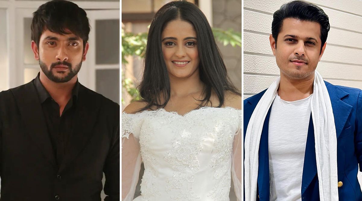 MUST READ: From Fahmaan Khan, Neil Bhatt- Ayesha Singh; Check Out Tv Stars Who Will Exit From The Top Shows