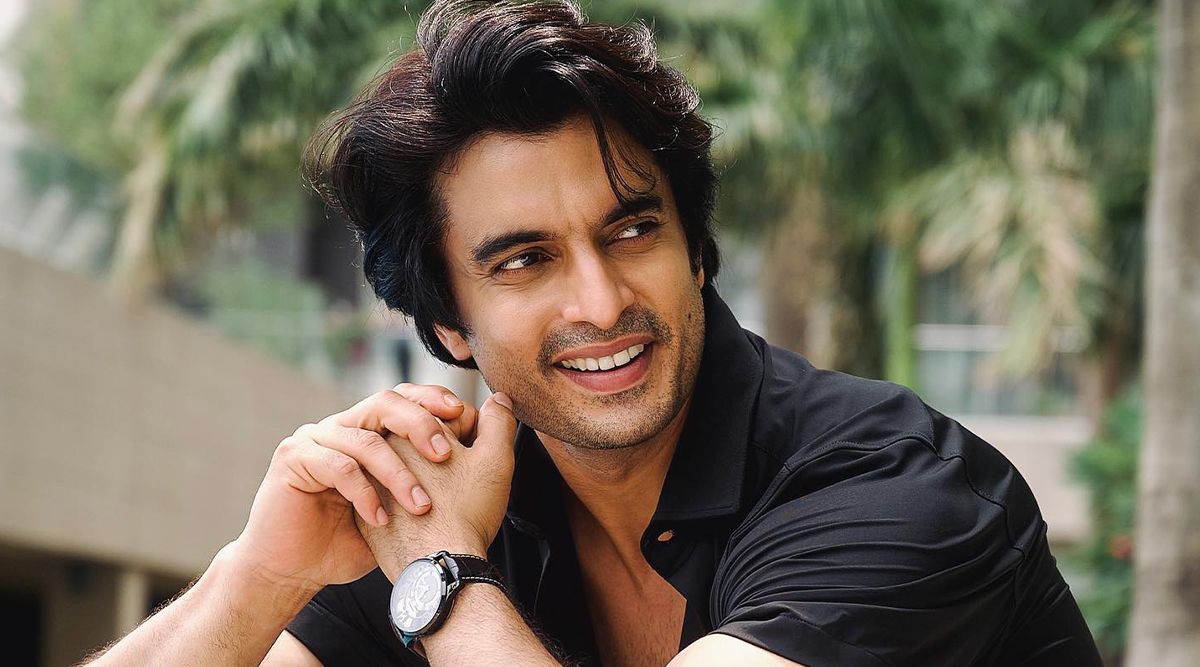 Tere Ishq Mein Ghayal Actor Gashmeer Mahajani Celebrates His Birthday, Shares ' We often forget to celebrate our wins, celebrate the journey of coming this far'