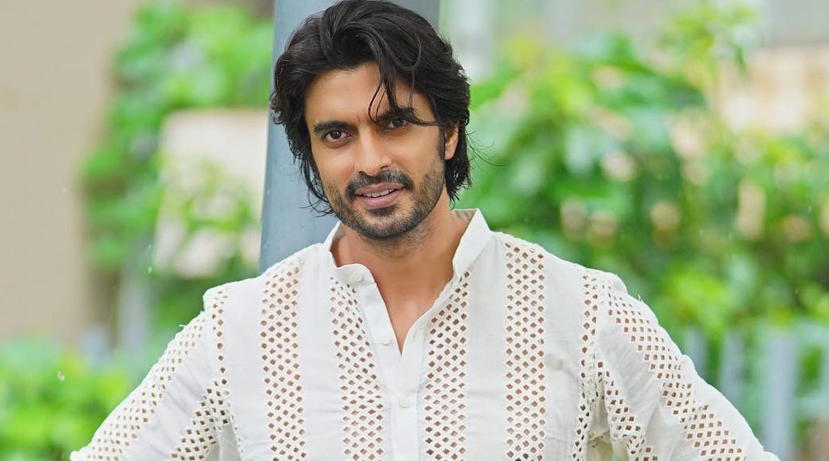 Tere Ishq Mein Ghayal Actor Gashmeer Mahajani Gives His Opinion On Reality Shows; Says' If You Are A Creative Person, These Shows Should Be Avoided'