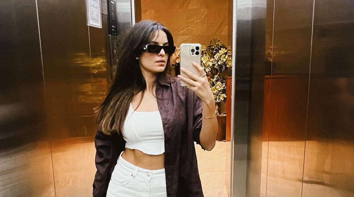 Hardik Pandya couldn't keep calm as wife Natasa Stankovic posts a striking mirror selfie