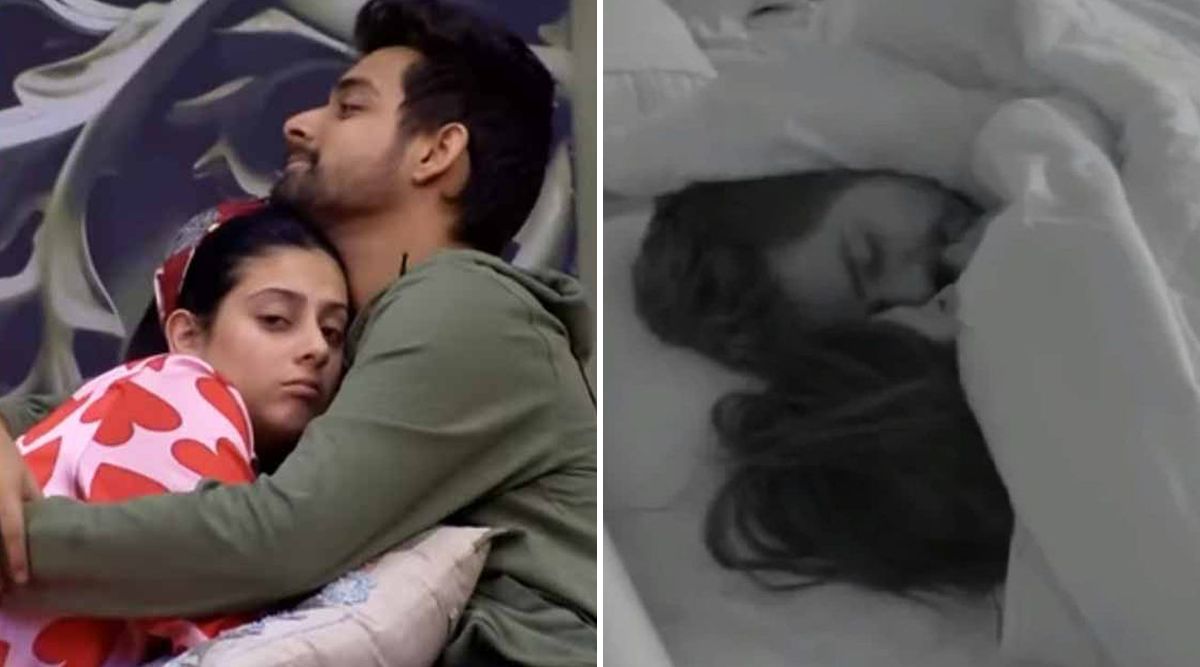 Isha Malviya's Intimate Moments With Samarth In Bigg Boss 17 SHOCKS Her Parents