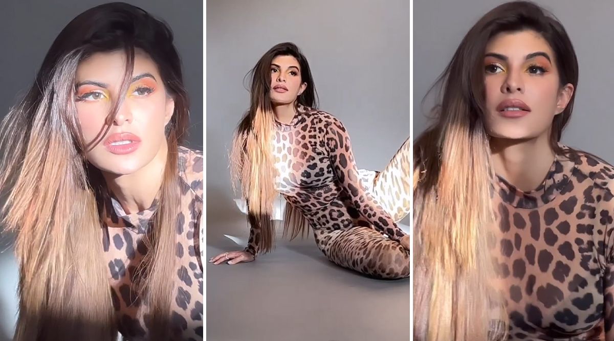 Jacqueline Fernandez treated her fans with a video clip, and fans called her, Ooo... Cheetah  Girl