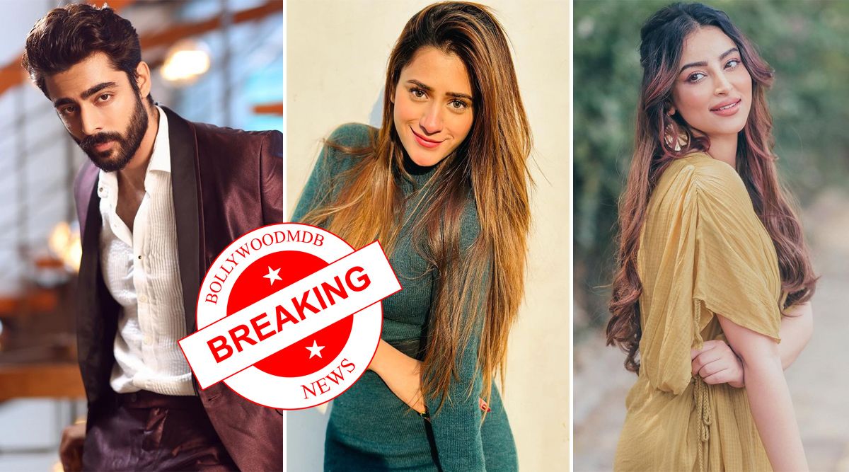 Breaking! Krushal Ahuja And Hiba Nawab To Join Chandni Sharma For Star Plus’ Next?