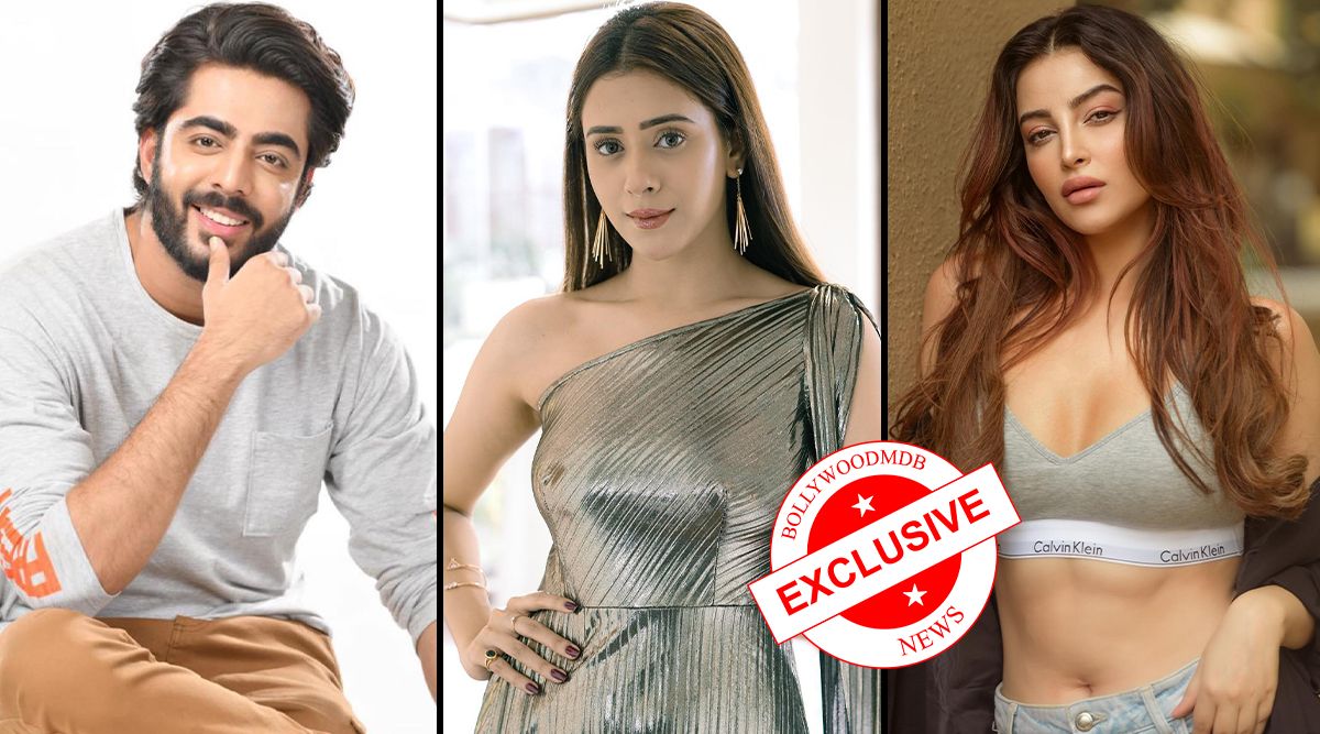 Exclusive! Star Plus’ New Show Starring Krushal, Hiba, and Chandni Gets Its TITLE; Plot And Other Details Revealed