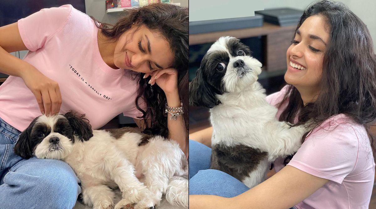 Keerthy Suresh celebrates her furry baby’s birthday; Her pet dog named Nyke turns a year older