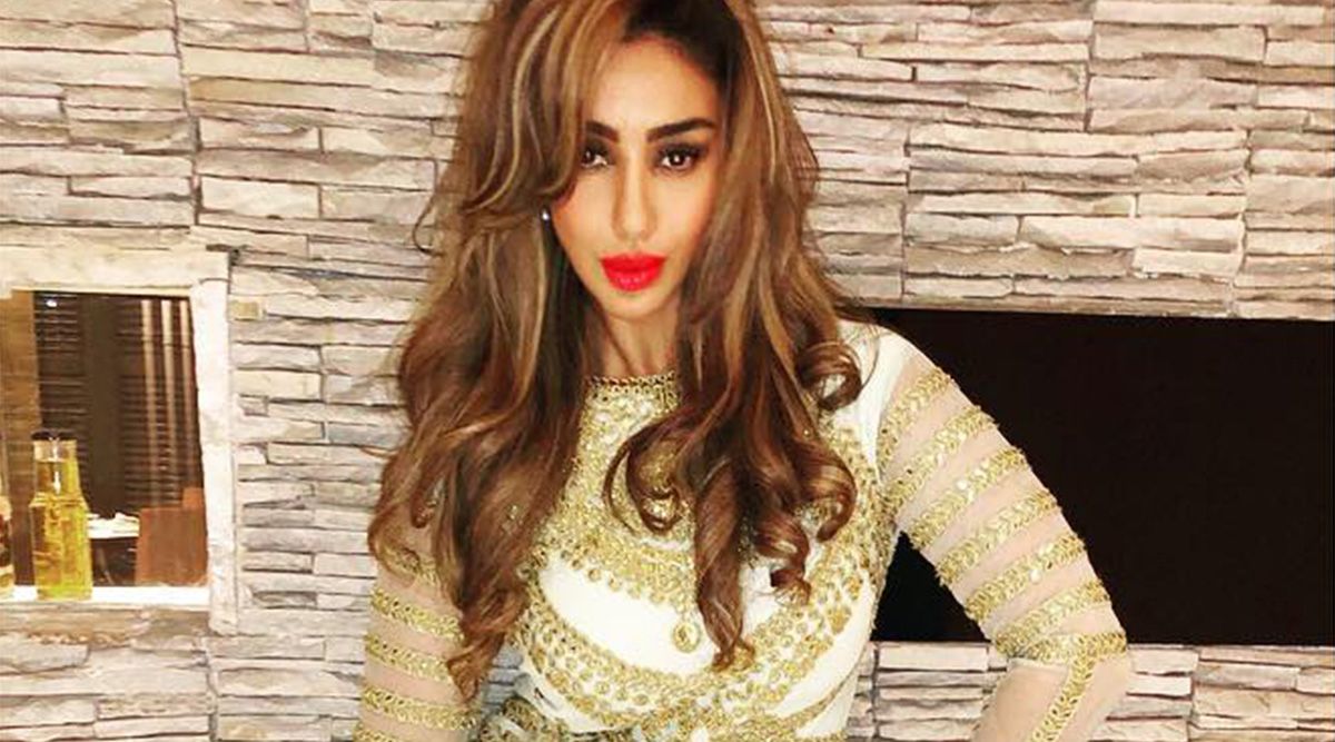 Naagin 6 fame Mahek Chahal loses Rs 49,000 after falling for an online fraud