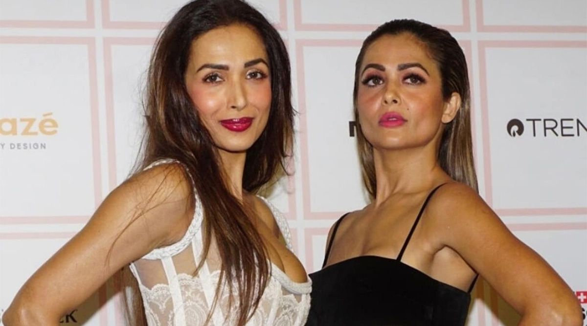 Will Malaika Arora and Amrita Arora collaborate on a series? Here is what is known about the ‘Arora Sisters’