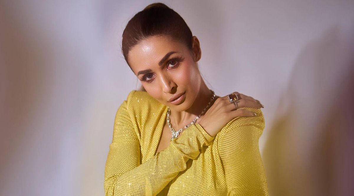 Malaika Arora loses her calm & responds to the intentionally grabbing attention claims; Check out what she says!