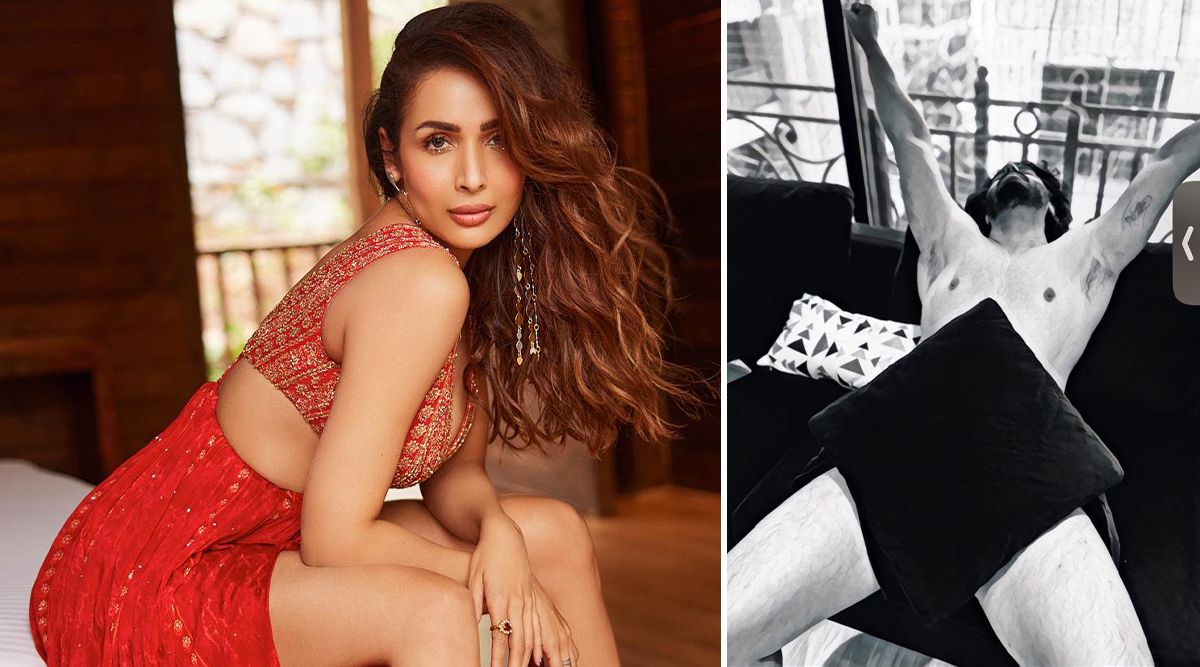 Malaika Arora Gets BRUTALLY Trolled For Sharing Arjun Kapoor’s NUDE PICTURE; Netizens Say 'Get A Room' (View Pics)