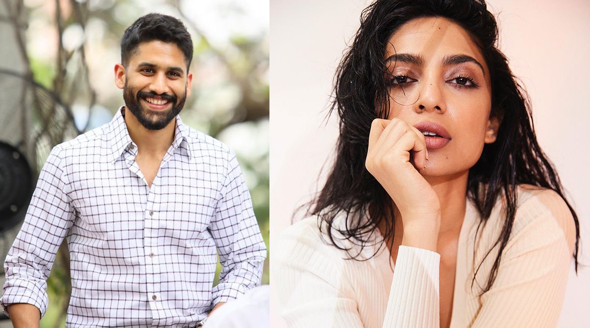 Naga Chaitanya in a relationship with Sobhita Dhulipala after separation from Samantha?