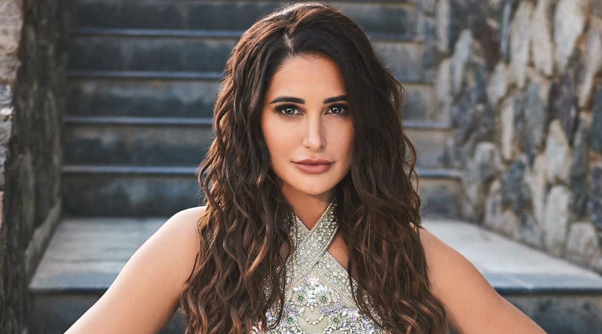 ‘Rockstar’ fame actress Nargis Fakhri is ready for a comeback in the entertainment industry
