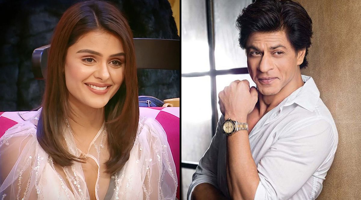 Bigg Boss 16: Priyanka Chahar Choudhary gets offered a significant role in Shah Rukh Khan's Dunki; Inside scoop!