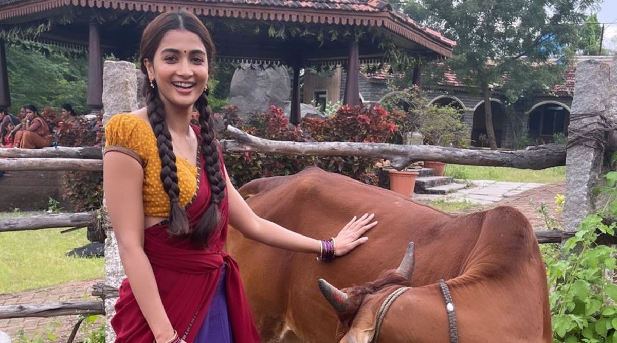 Pooja Hegde makes ‘new friend' on the set of Aacharya: See pic-