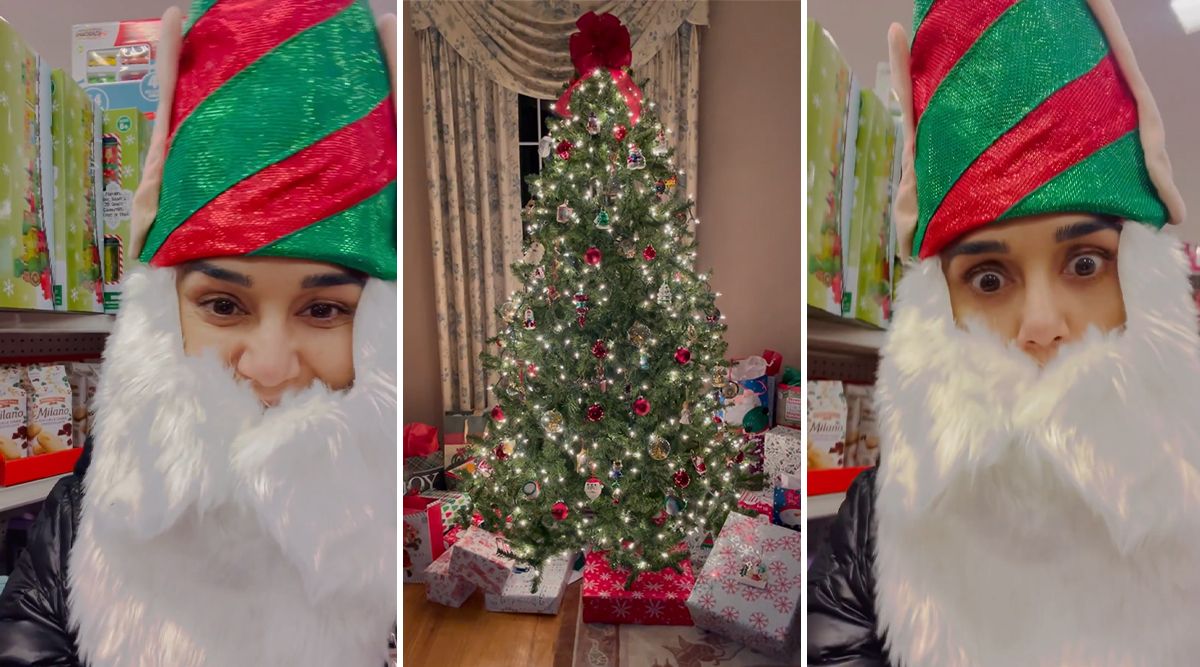 Preity Zinta is all set for CHRISTMAS HOLIDAYS; Watch the adorable video here!