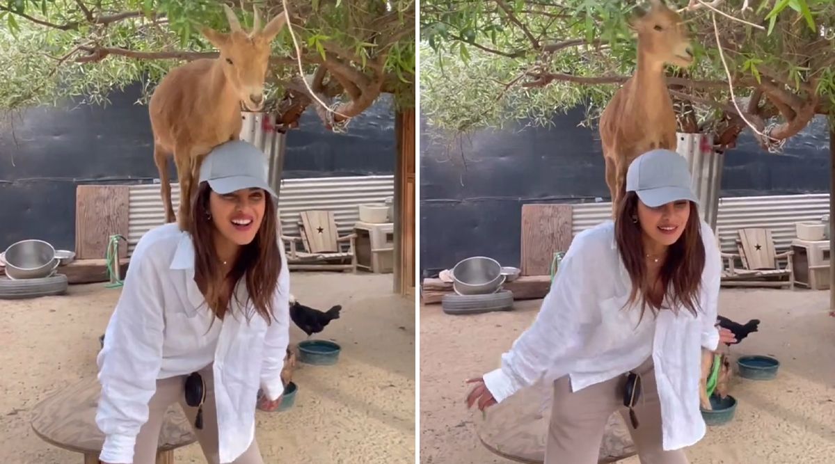 Priyanka Chopra's Incredible Farm Adventure Will Leave You Amazed, Check Out Her 'THIS' Talent! (Watch Video)
