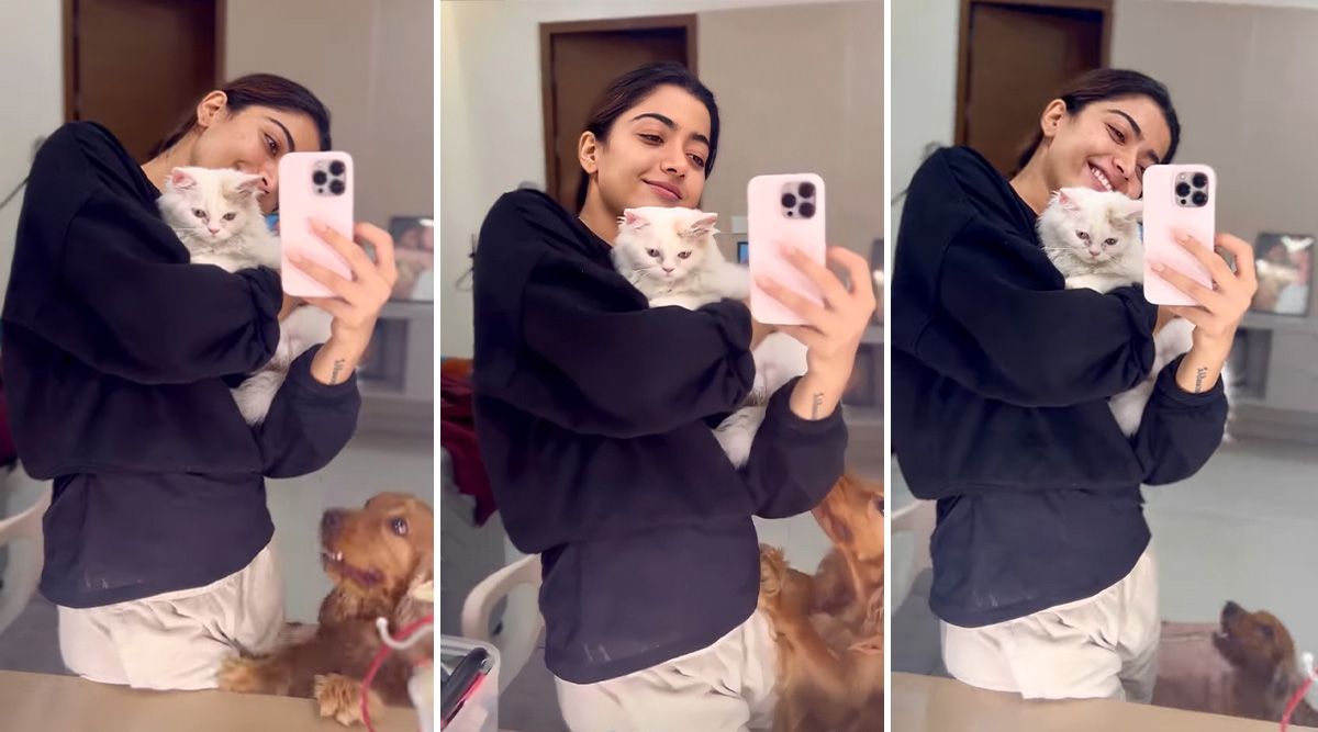 Rashmika Mandanna’s Latest posts; the actor has a new edition to her furry family