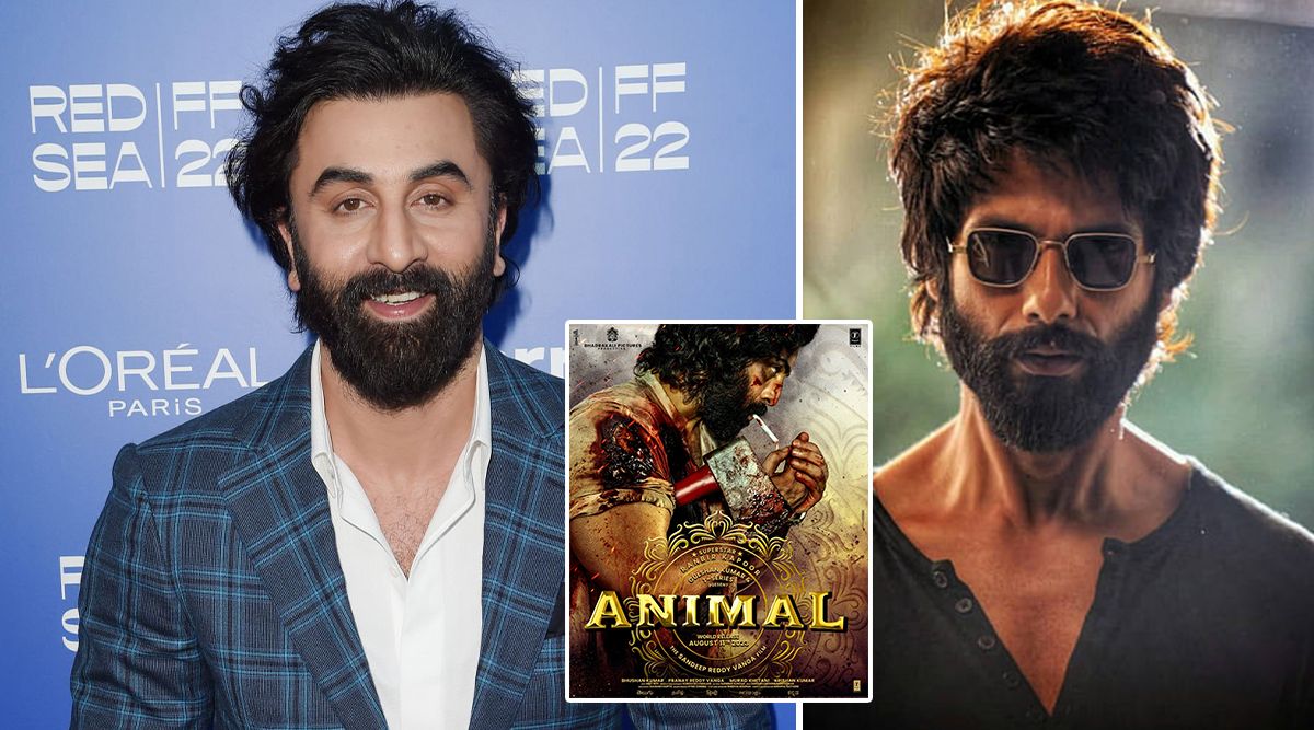 Animal: OMG! Ranbir Kapoor's Movie Will Witness VIOLENCE Surpassing Shahid Kapoor's Kabir Singh, Claims Director Sandeep Reddy Vanga